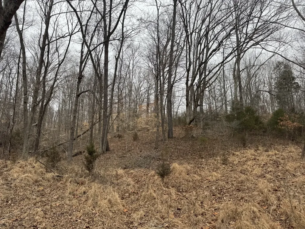 2250 Indian Creek Road Mc Ewen TN 37101