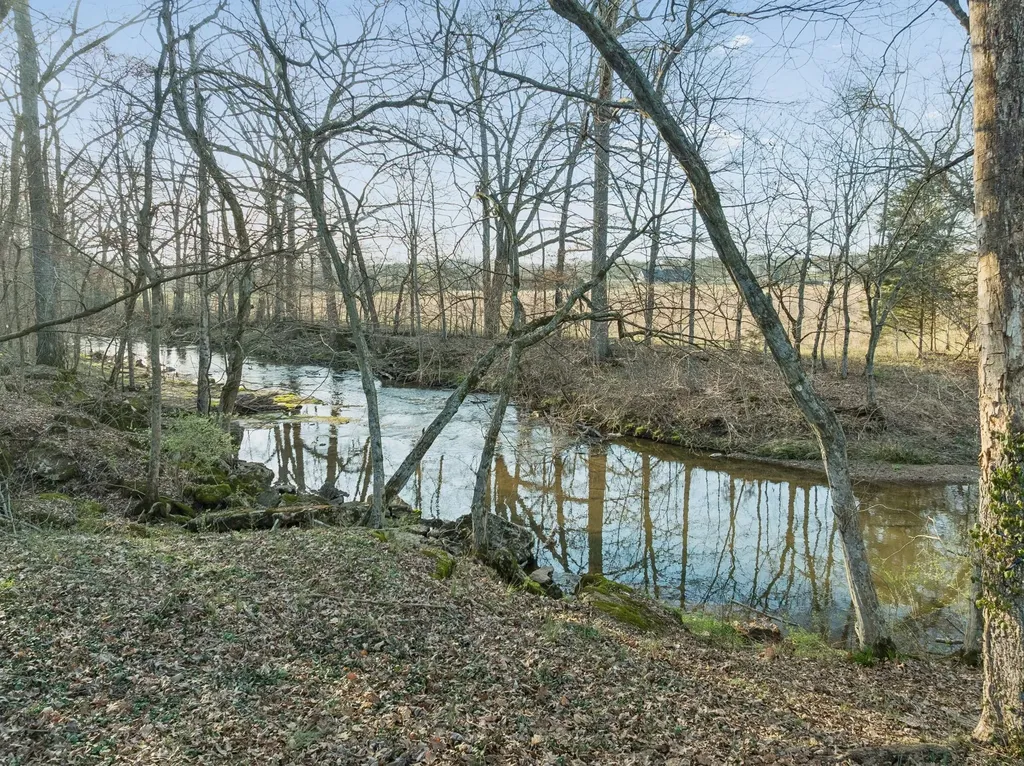7105 Marsh Hawk Court Arrington TN 37014