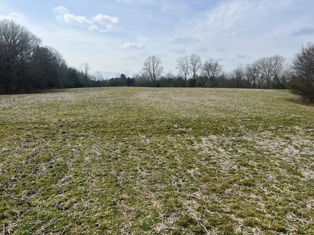3460 New Home Road Smithville TN 37166