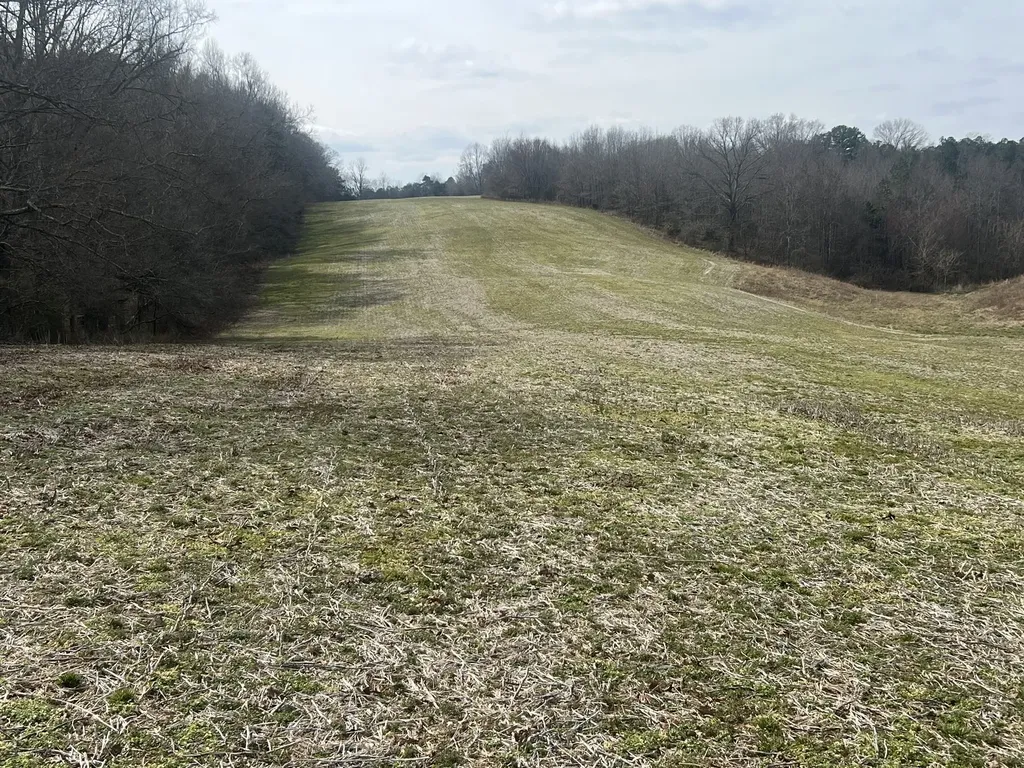 3460 New Home Road Smithville TN 37166
