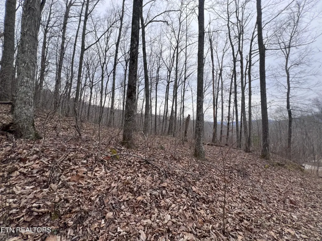 0 Lot 62 Apache Road Jamestown TN 38556