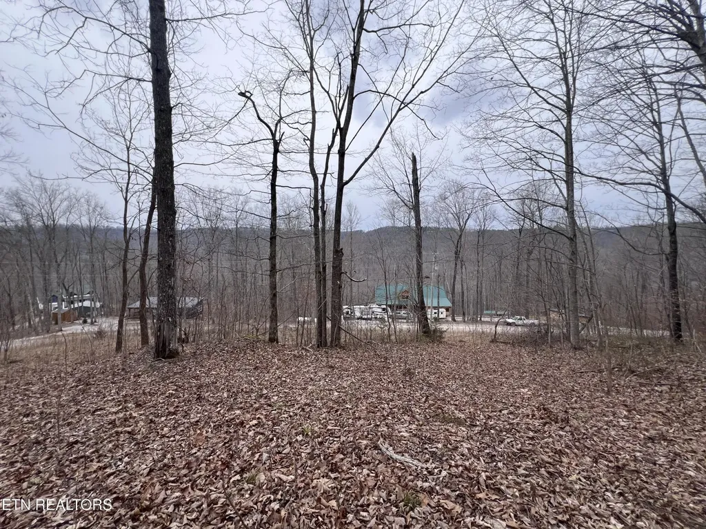 0 Lot 62 Apache Road Jamestown TN 38556