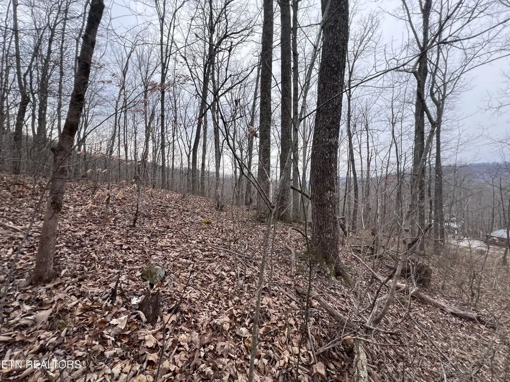 0 Lot 62 Apache Road Jamestown TN 38556