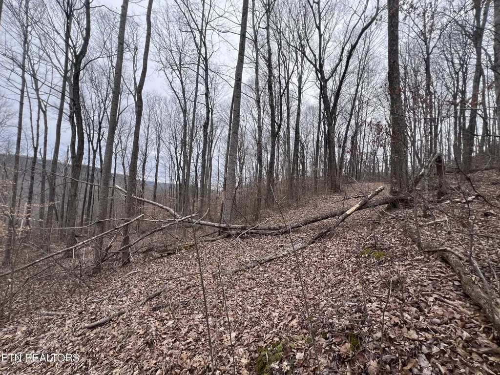 0 Lot 62 Apache Road Jamestown TN 38556