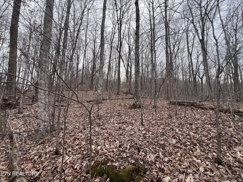 0 Lot 62 Apache Road Jamestown TN 38556