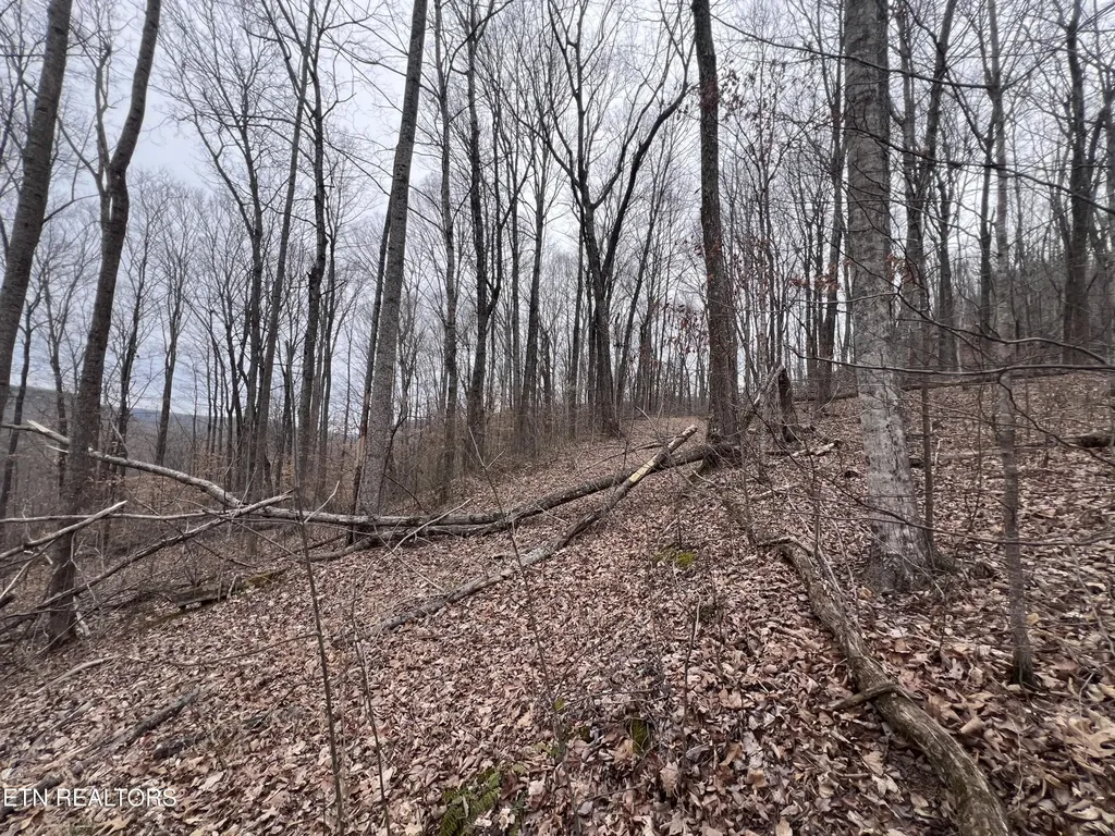 0 Lot 62 Apache Road Jamestown TN 38556