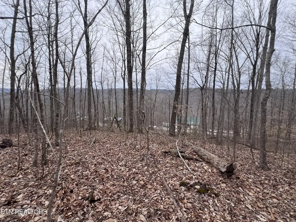 0 Lot 62 Apache Road Jamestown TN 38556