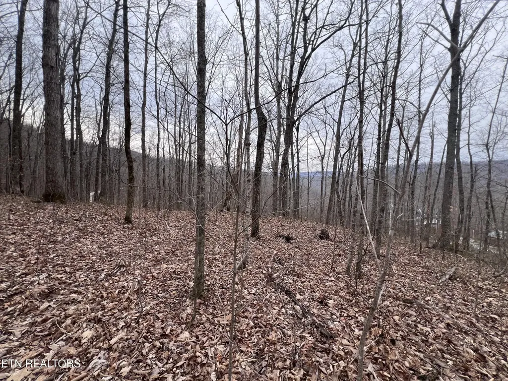 0 Lot 62 Apache Road Jamestown TN 38556