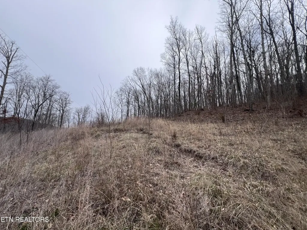 0 Lot 62 Apache Road Jamestown TN 38556