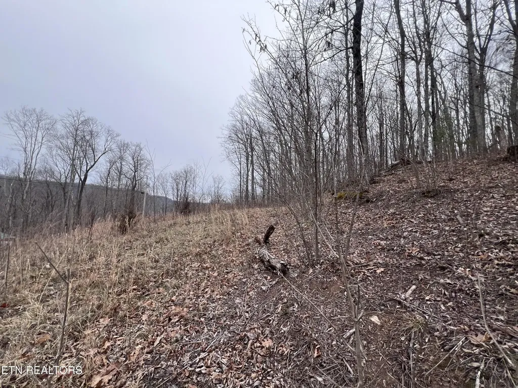 0 Lot 62 Apache Road Jamestown TN 38556