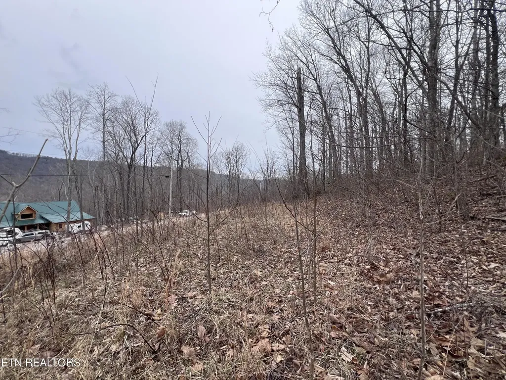 0 Lot 62 Apache Road Jamestown TN 38556