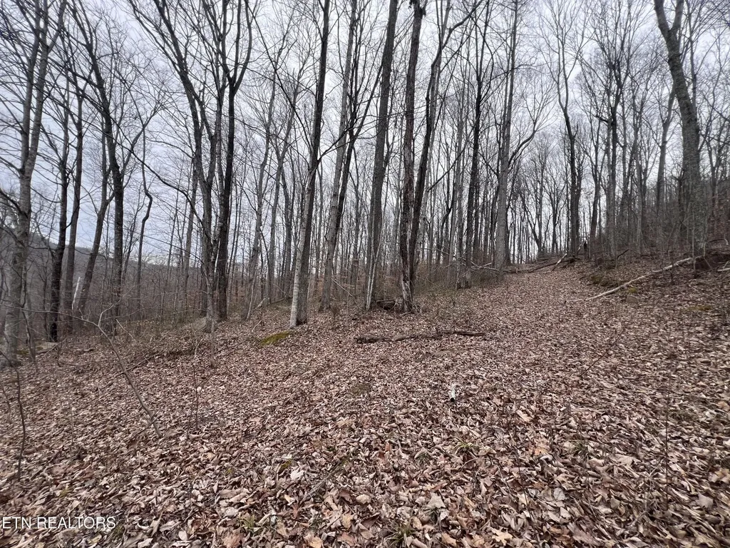 0 Lot 62 Apache Road Jamestown TN 38556