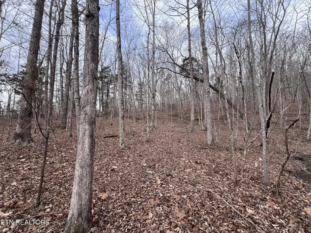 0 Buffalo Cove Lane Jamestown TN 38556