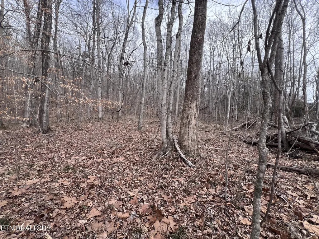 0 Buffalo Cove Lane Jamestown TN 38556