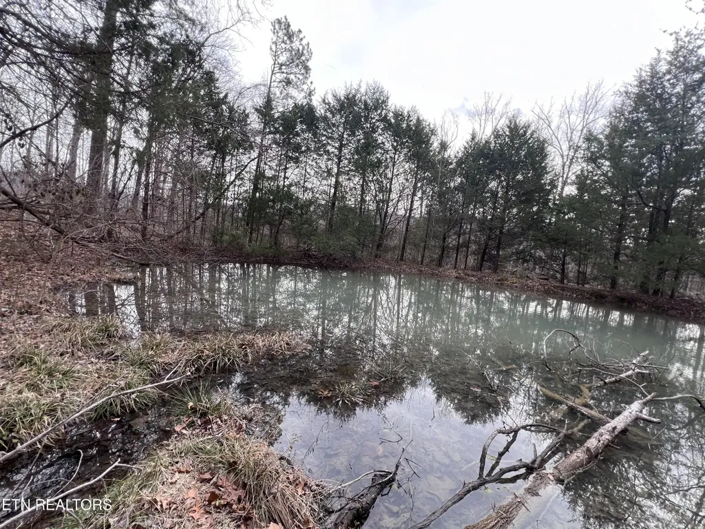 0 Buffalo Cove Lane Jamestown TN 38556