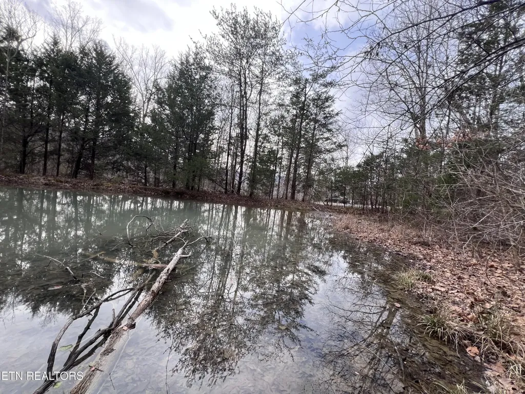 0 Buffalo Cove Lane Jamestown TN 38556