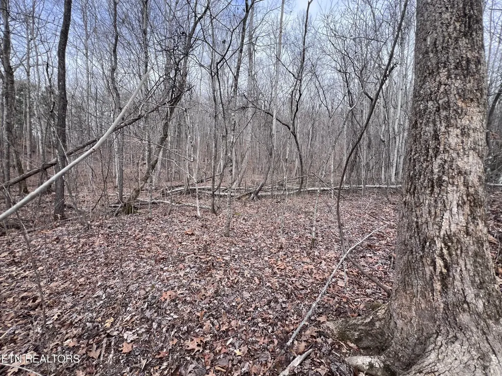 0 Buffalo Cove Lane Jamestown TN 38556