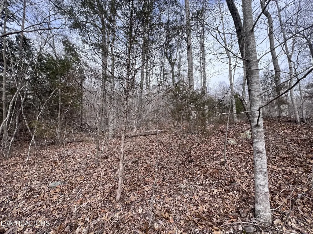 0 Buffalo Cove Lane Jamestown TN 38556