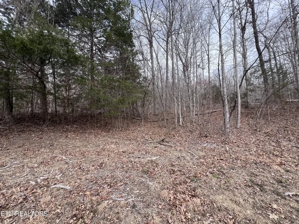 0 Buffalo Cove Lane Jamestown TN 38556