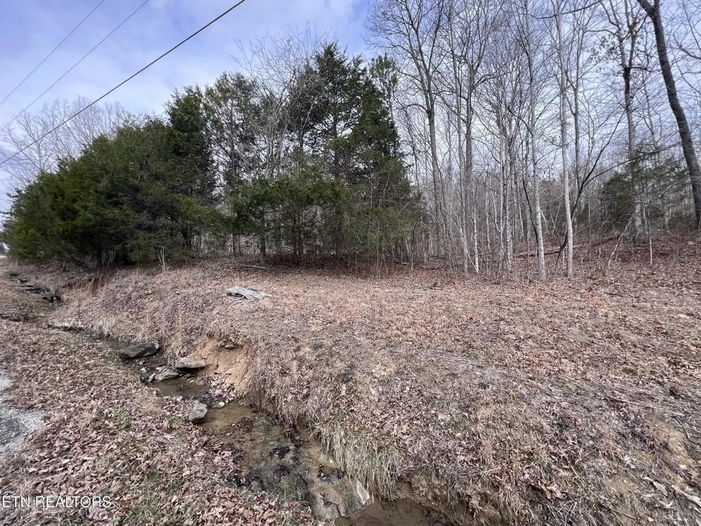 0 Buffalo Cove Lane Jamestown TN 38556
