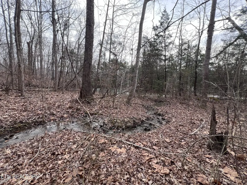 0 Buffalo Cove Lane Jamestown TN 38556