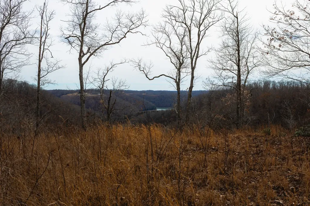 655 Burton Ridge Road Silver Point TN 38582