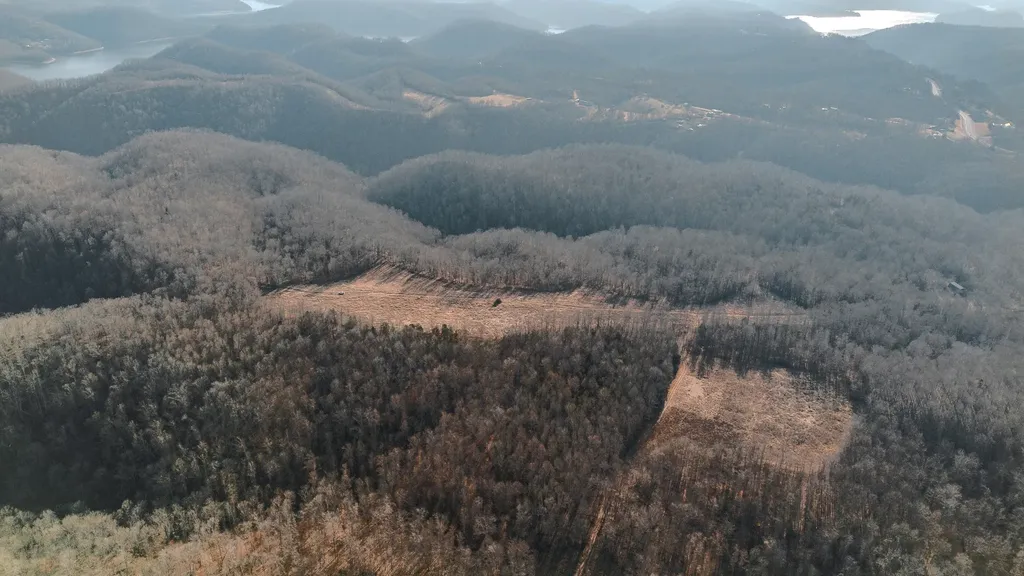 655 Burton Ridge Road Silver Point TN 38582