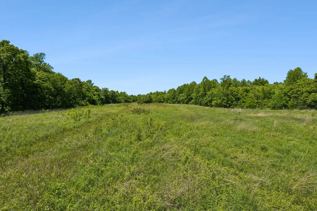 655 Burton Ridge Road Silver Point TN 38582