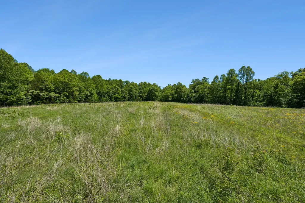 655 Burton Ridge Road Silver Point TN 38582
