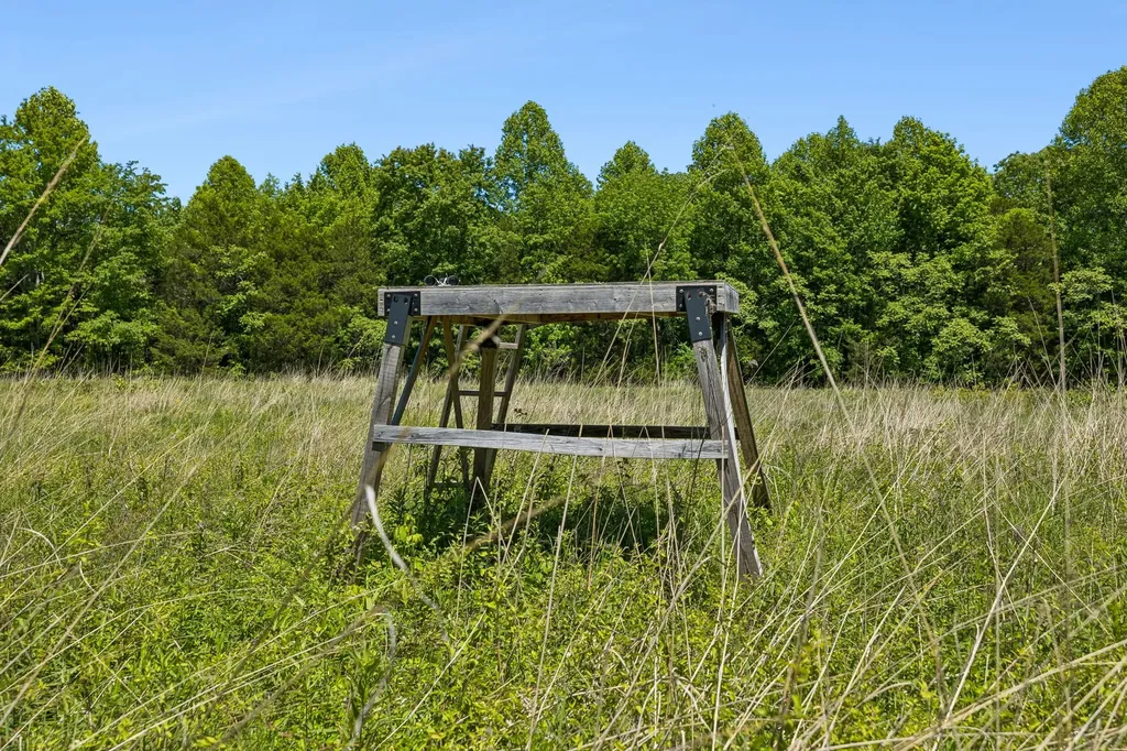 655 Burton Ridge Road Silver Point TN 38582