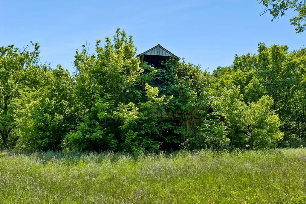 655 Burton Ridge Road Silver Point TN 38582