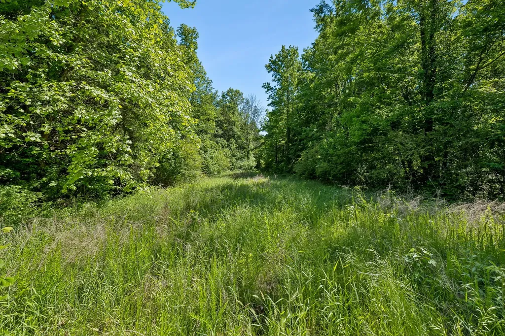 655 Burton Ridge Road Silver Point TN 38582