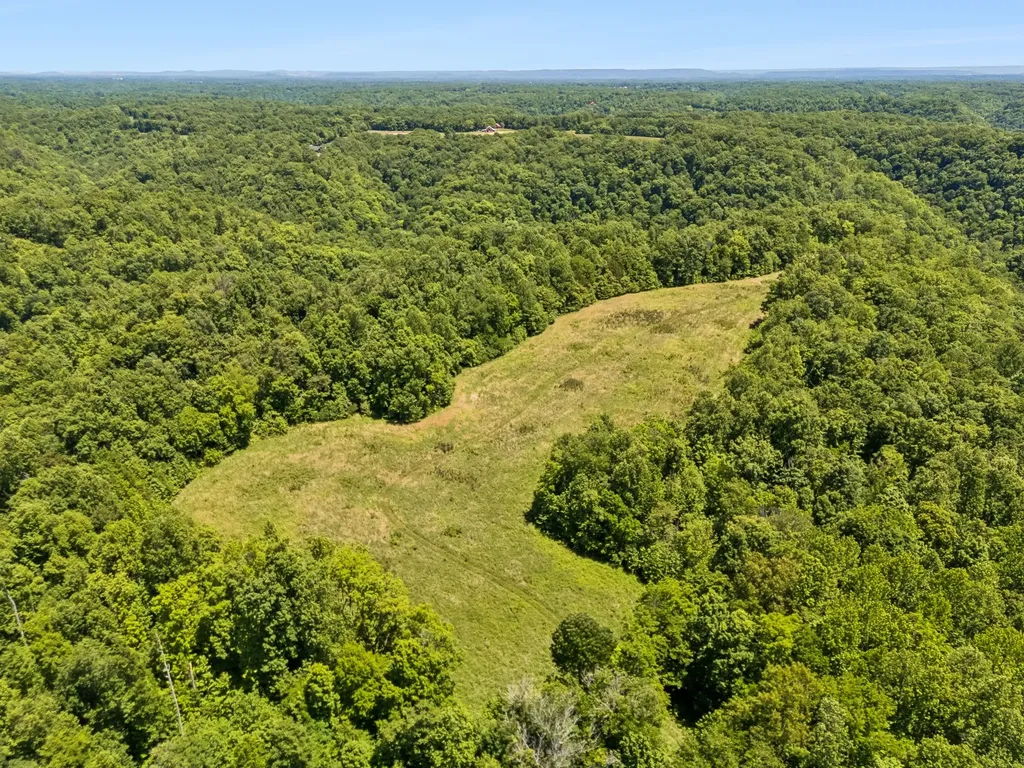 655 Burton Ridge Road Silver Point TN 38582