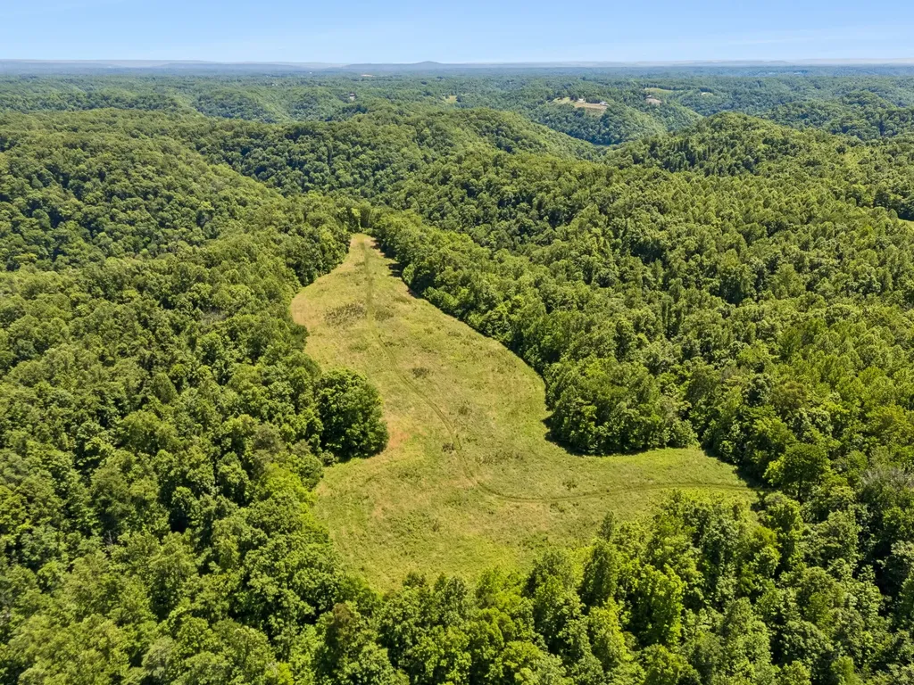 655 Burton Ridge Road Silver Point TN 38582
