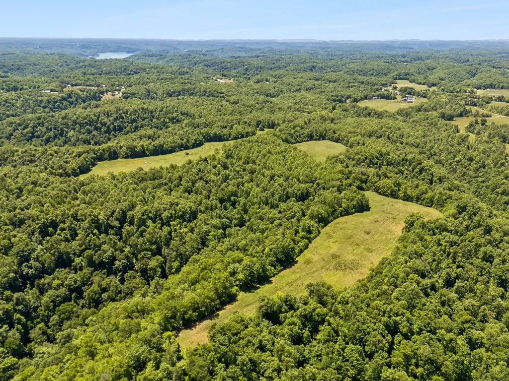 655 Burton Ridge Road Silver Point TN 38582