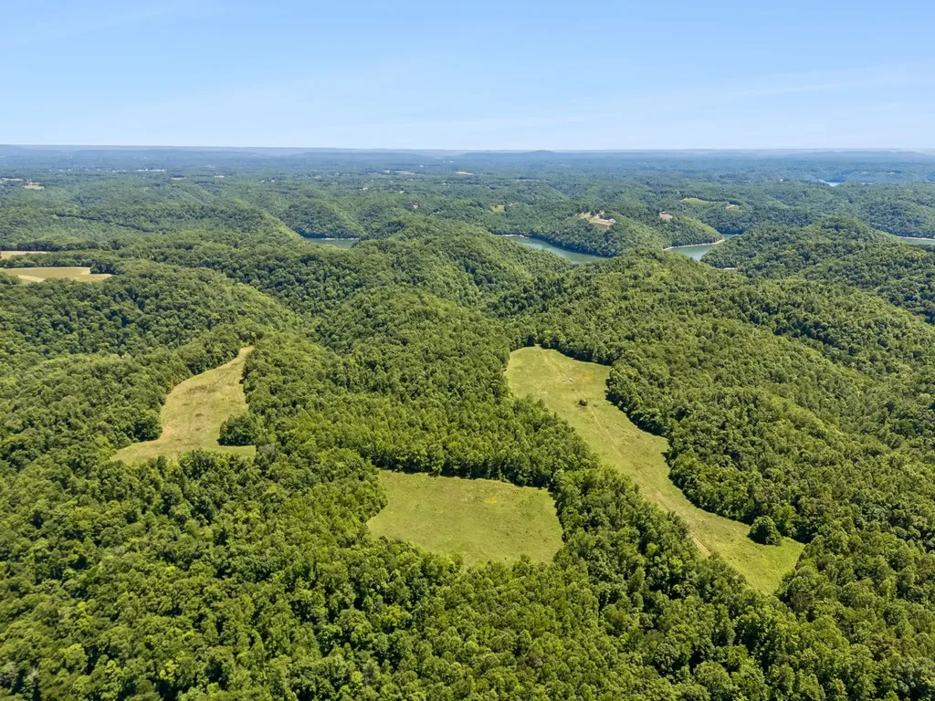 655 Burton Ridge Road Silver Point TN 38582