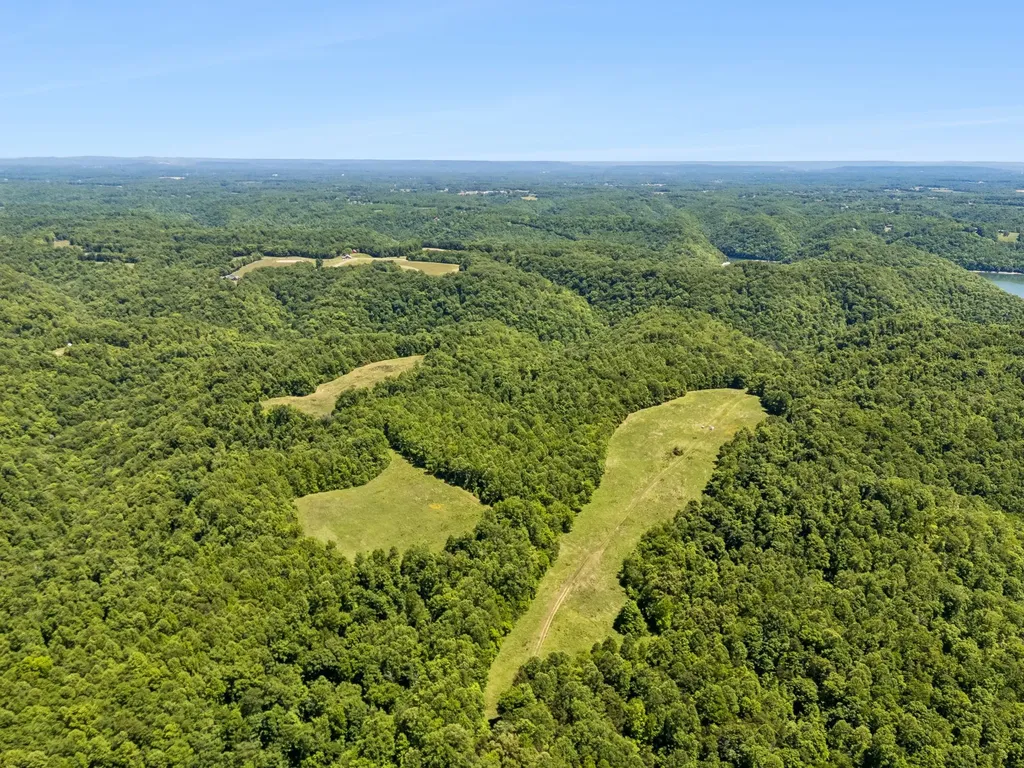 655 Burton Ridge Road Silver Point TN 38582