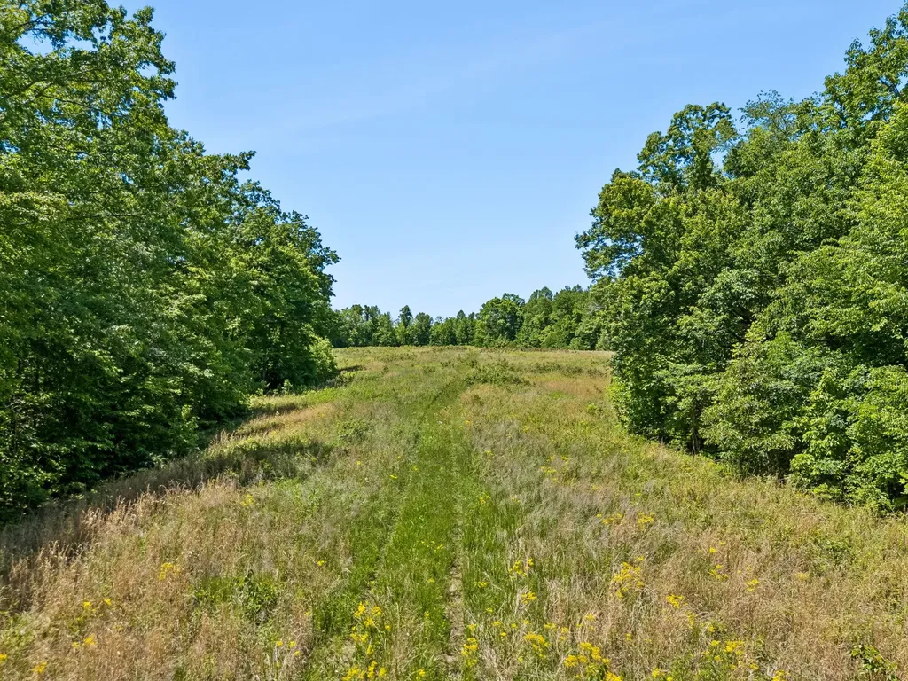 655 Burton Ridge Road Silver Point TN 38582