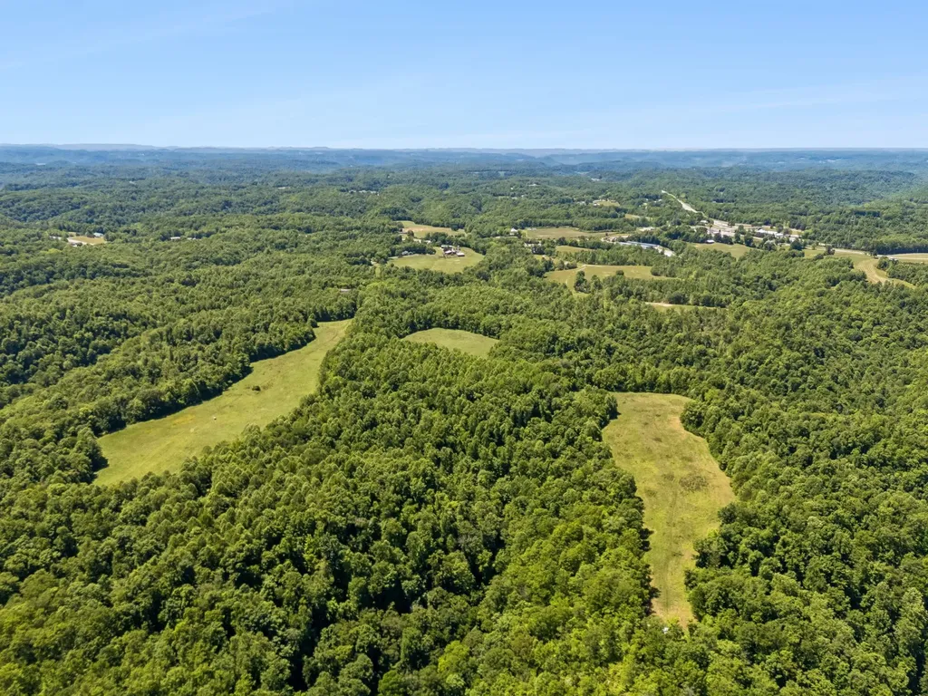 655 Burton Ridge Road Silver Point TN 38582