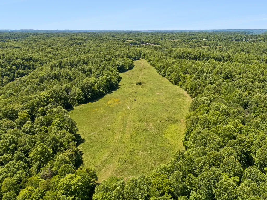 655 Burton Ridge Road Silver Point TN 38582