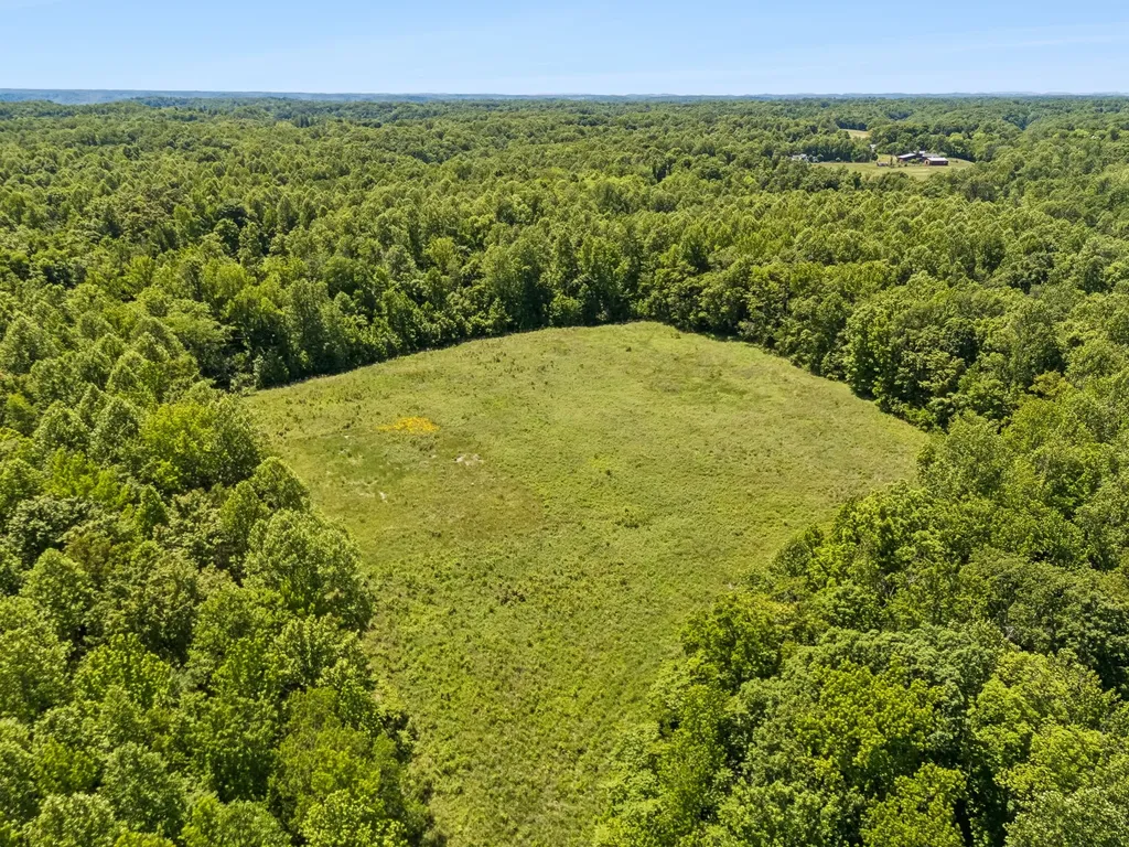 655 Burton Ridge Road Silver Point TN 38582