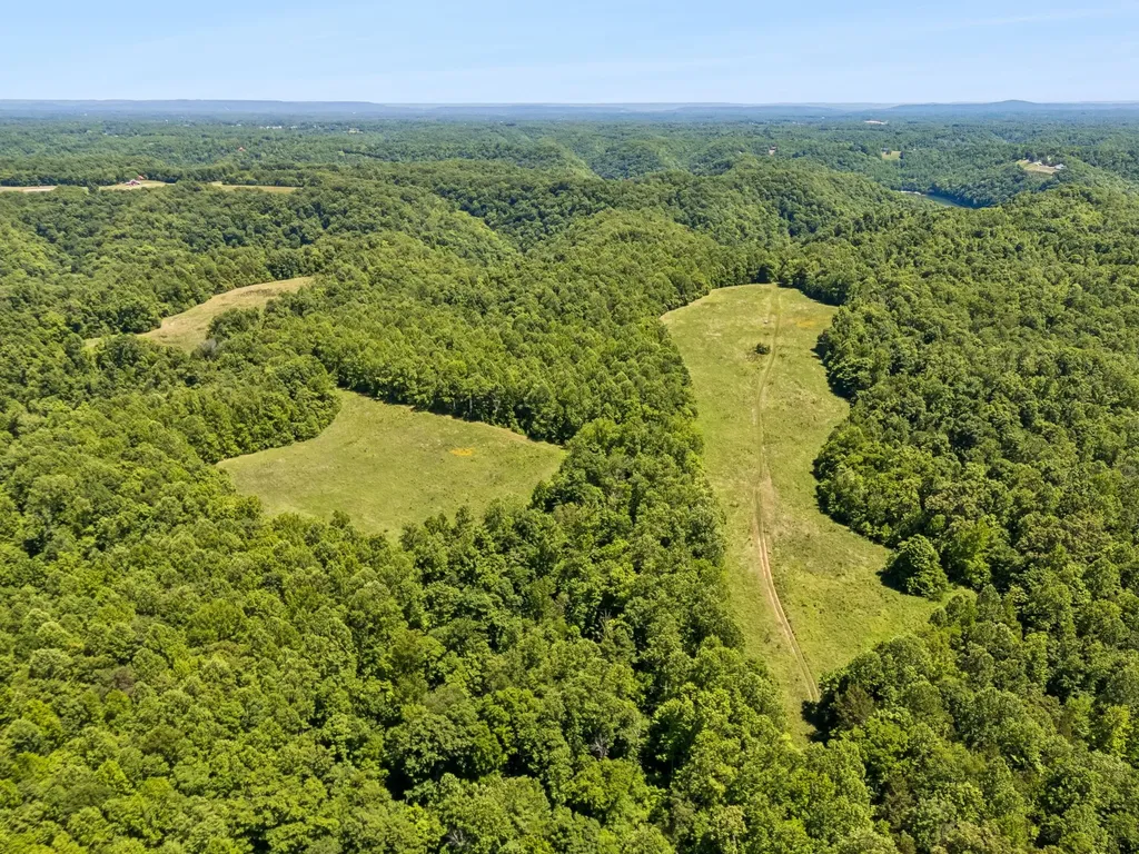 655 Burton Ridge Road Silver Point TN 38582