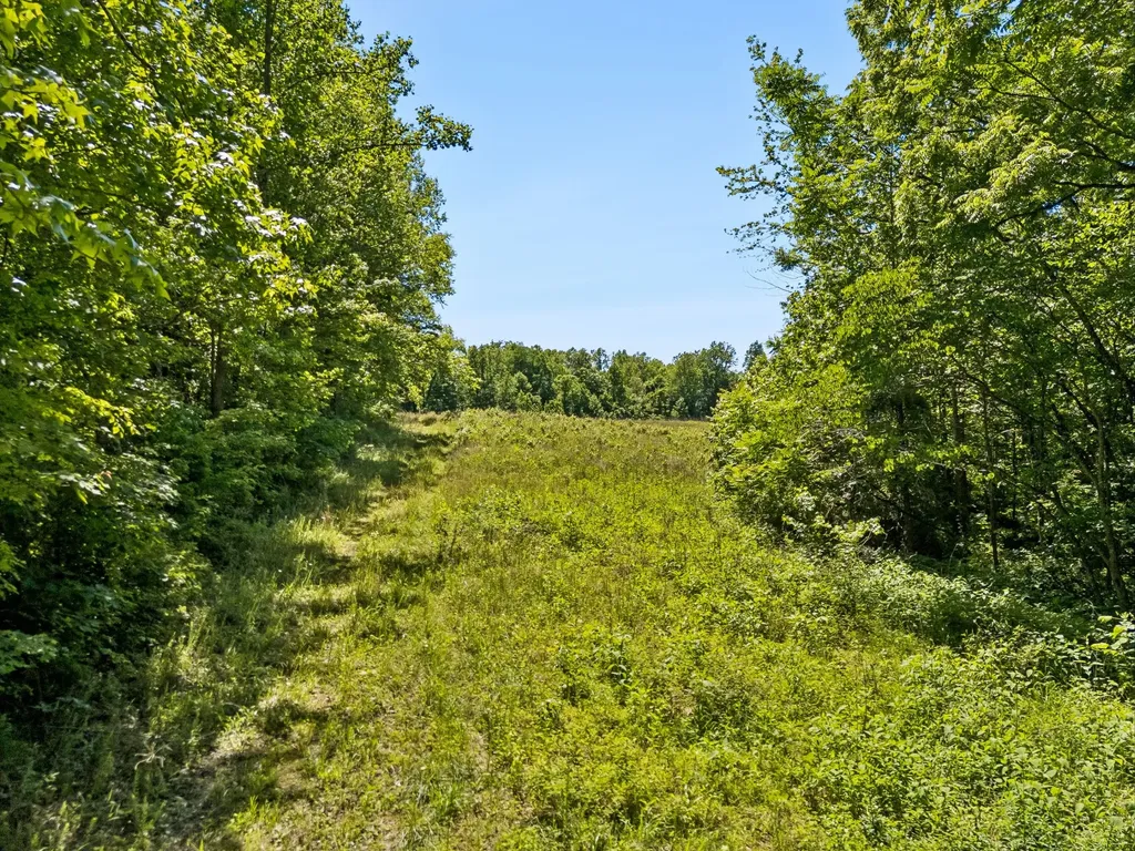 655 Burton Ridge Road Silver Point TN 38582