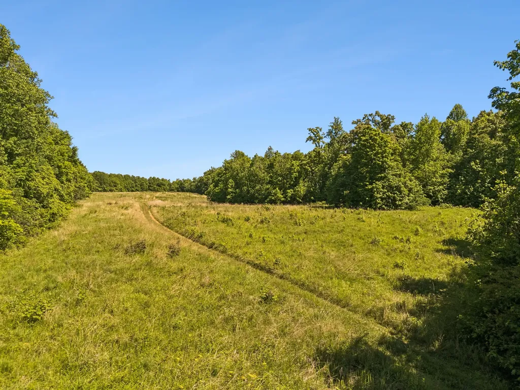 655 Burton Ridge Road Silver Point TN 38582