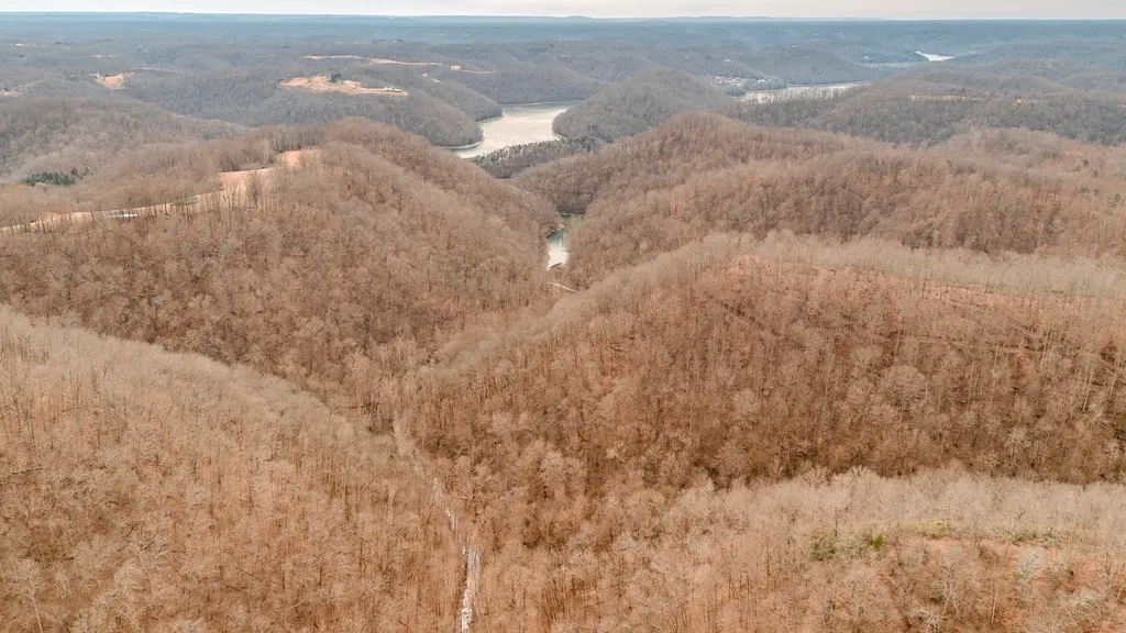 655 Burton Ridge Road Silver Point TN 38582