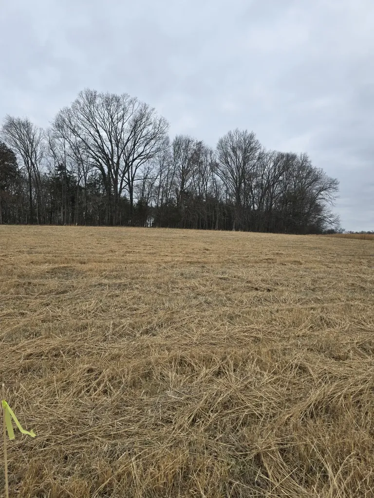 0 Nashville Highway Lewisburg TN 37091