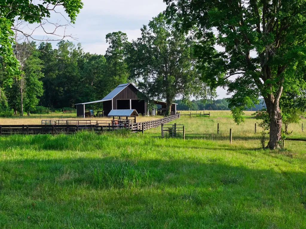 555 Williams Road Clarksville TN 37043
