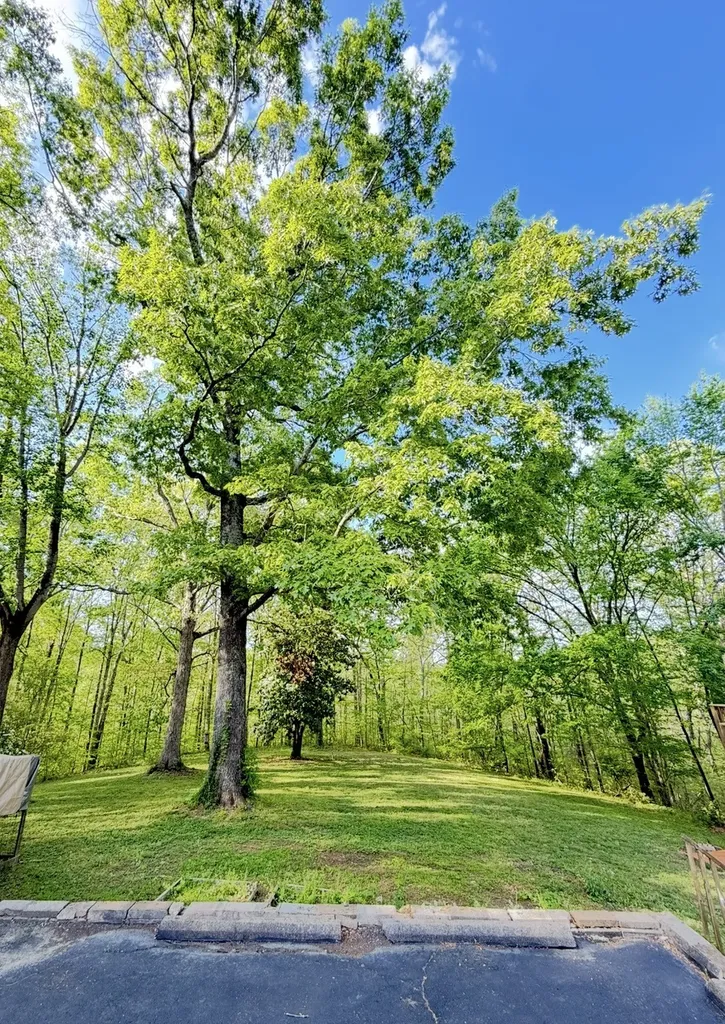 3899 Cantarutti Road Joelton TN 37080