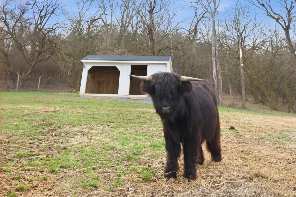 1747 Old Natchez Trace Franklin TN 37069