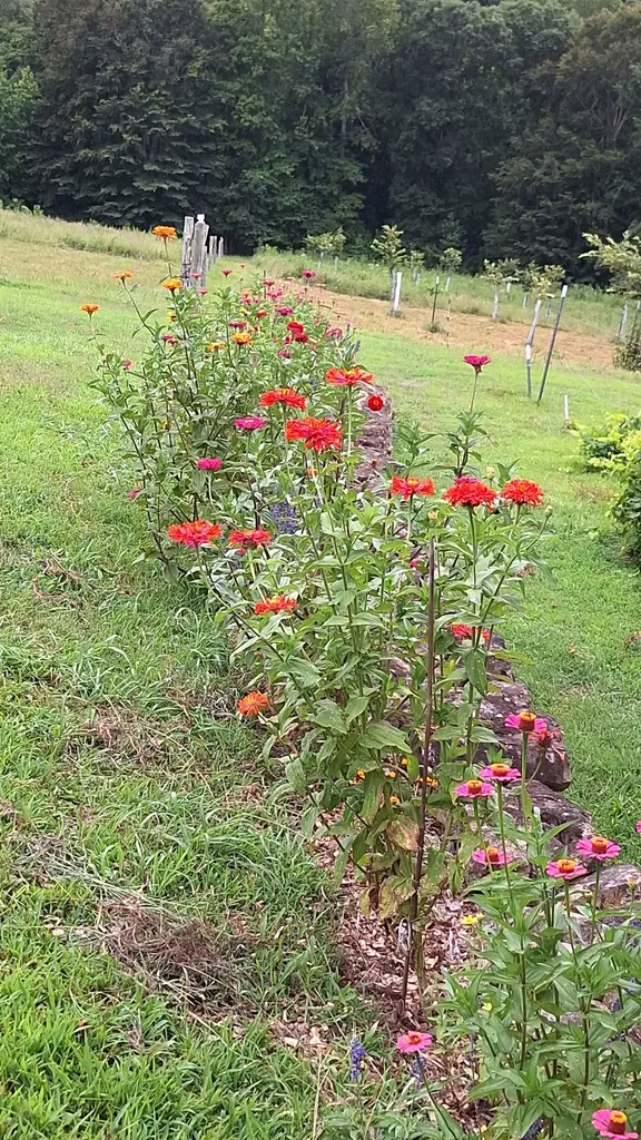 2016 Valley View Road Joelton TN 37080
